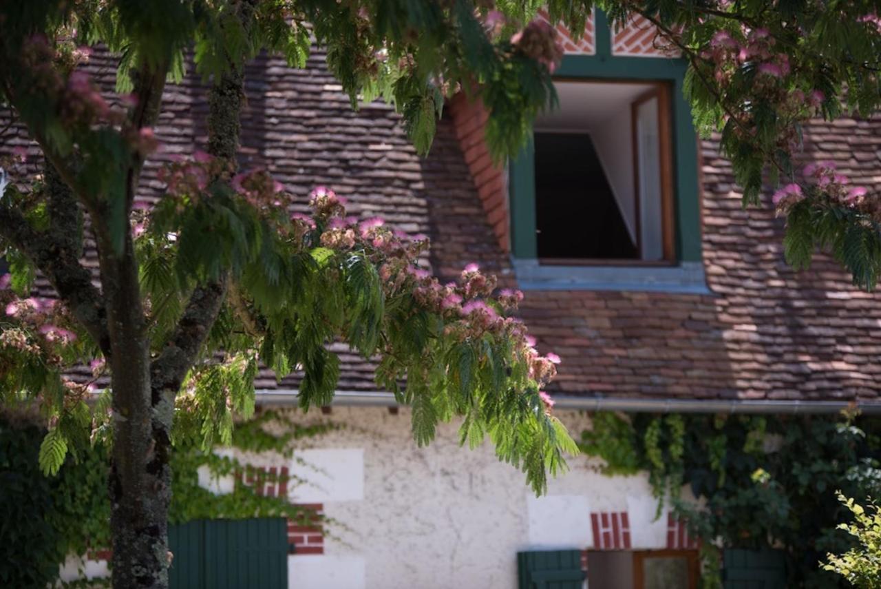 Bed and Breakfast La Demalerie Шеверни Экстерьер фото
